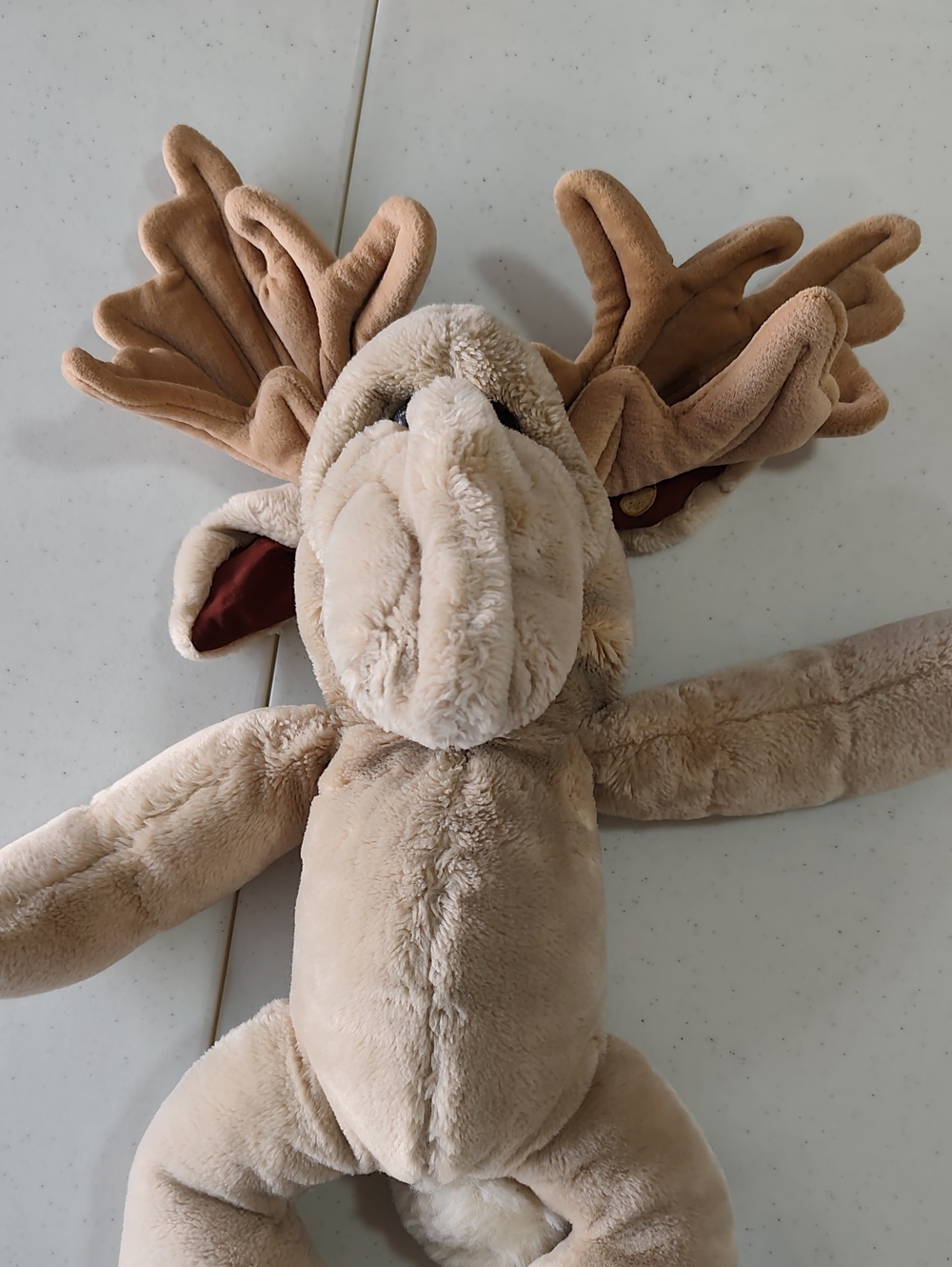 Moose Wrinkle - Picture 1 of 3